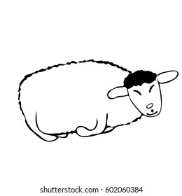 Vector white and black sleeping sheep drawn in line art isolated on white background