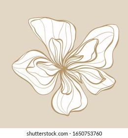 Vector white, brawn flowers with leaves on an beige isolated background. In style cartoon.  Use as a postcard, in graphic design, product packaging, branding, wedding invitation, cloth textile. 