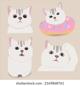 Vector white british short hair