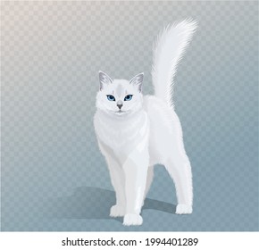 Vector white cat with blue eyes and fluffy tail. Cat standing and looking in camera. Front view illustration. 