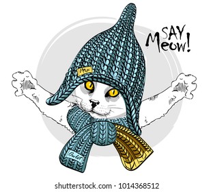 Vector white cat with blue knitted hat and scarf. Hand drawn illustration of dressed cat.