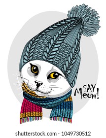 Vector white cat with blue knitted hat and scarf. Hand drawn illustration of dressed cat.