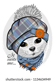 Vector white cat with checkered  hat and blue scarf. Hand drawn illustration of dressed cat