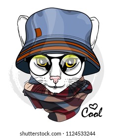 Vector white cat with glasses, blue hat and scarf. Hand drawn illustration of dressed cat.