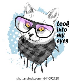 Vector white cat with glasses. Hand drawn illustration of cat.