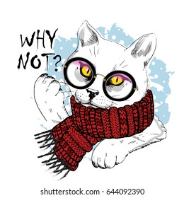 Vector white cat with glasses and red scar. Hand drawn illustration of cat.