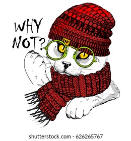 Vector white cat with green glasses, knitted scarf and hat. Hand drawn illustration of white kitten.