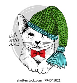 Vector white cat with knitted green hat and red bow. Hand drawn illustration of kitten.
