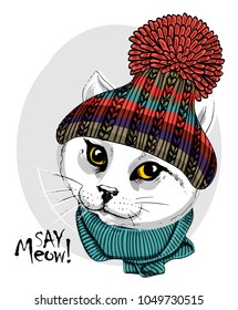 Vector white cat with knitted hat and green scarf. Hand drawn illustration of dressed cat.