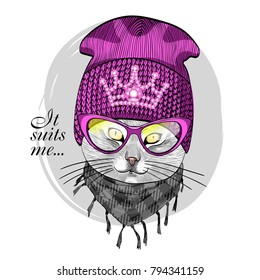 Vector white cat with knitted hat, crown and glasses. Hand drawn illustration of kitten.
