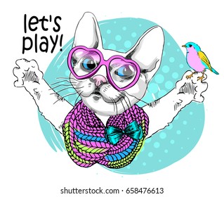 Vector white cat with knitted scarf, bird and glasses. Hand drawn illustration of dressed cat. 