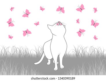 vector white cat on  gray grass pink butterfly vector