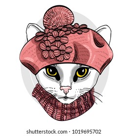 Vector white cat with pink knitted beret and scarf. Hand drawn illustration of dressed cat.