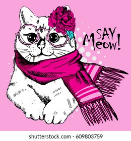 Vector white cat with pink scarf and glasses. Hand drawn illustration of dressed cat 
