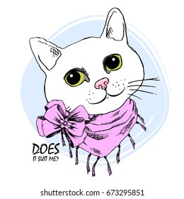 Vector white cat with pink scarf and bow. Hand drawn illustration of kitten.