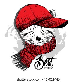 Vector white cat in a red cap and scarf. Hand drawn illustration of dressed cat 2.