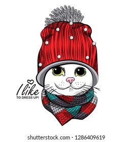Gato vectorial blanco con sombrero de punto rojo y bufanda. Dibujo a mano de gatito vestido.