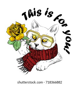 Vector white cat with red knitted scarf, glasses and rose. Hand drawn illustration of dressed cat with yellow rose.