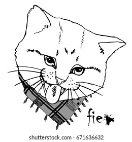 Vector white cat with scarf and fly. Hand drawn illustration of cat. 