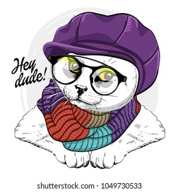 Vector white cat with violet cap, knitted  scarf and glasses. Hand drawn illustration of dressed cat.