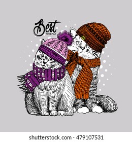 Vector white cats in a hats and scarfs. Hand drawn illustration of dressed cats.