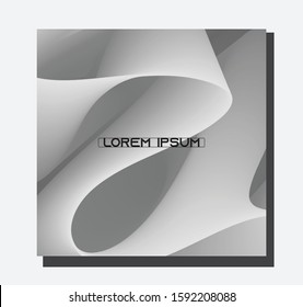 vector white color and gray abstract shape  brochure template