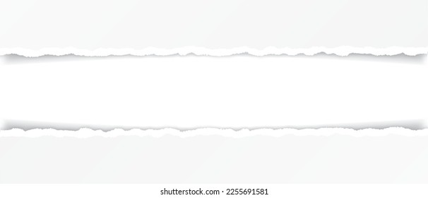 vector white colored torn paper banner with ripped edges with space for your text on white background