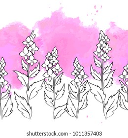 vector white contour meadow flowers horizontal seamless frame border on rose watercolor splash