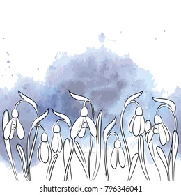 vector white contour snowdrop  flower on blue watercolor background