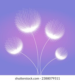 vector white dandelion flower silhouette with purple gradiant illustration