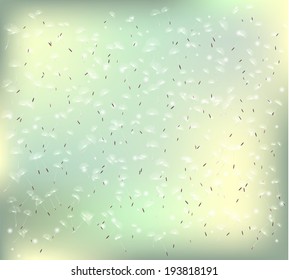 Vector White Dandelion on green background Ã¢Â?Â? Illustration. Dandelion seeds.