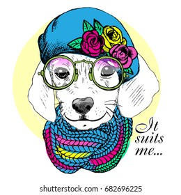 Vector white dog with blue beret, knitted scarf and green glasses. Hand drawn illustration of dressed dog