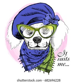 Vector white dog with blue beret, scarf and green glasses. Hand drawn illustration of dressed dog