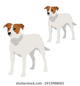Vector white dog with brown spots standing isolated on white background