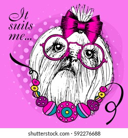 Vector white dog with glasses, bow and necklace. Hand drawn illustration of dressed lap-dog.