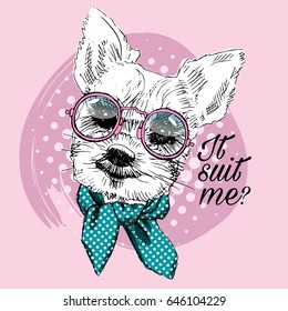 Vector white dog with glasses and green neckerchief. Hand drawn illustration of dressed  Yorkshire Terrier.