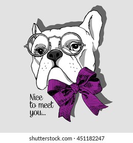 Vector  white dog in a glasses and neckerchief. Hand drawn illustration of dressed bulldog.