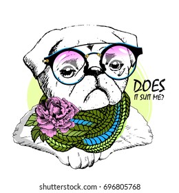 Vector white dog with glasses, scarf and flower. Hand drawn illustration of dressed pug.