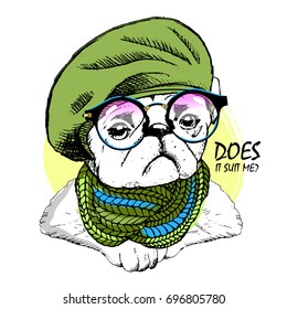 Vector white dog with green beret, scarf and glasses. Hand drawn illustration of dressed pug.