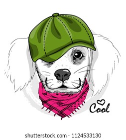 Vector white dog with green cap and scarf. Hand drawn illustration of dressed dog.