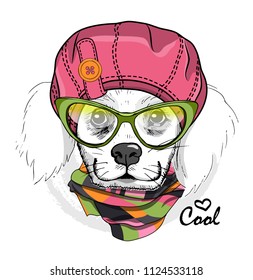 Vector white dog with green glasses, pink beret and scarf. Hand drawn illustration of dressed dog.