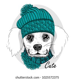 Vector white dog with green knitted hat and green scarf. Hand drawn illustration of dressed dog.