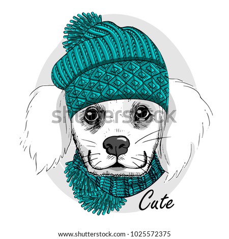 Vector white dog with green knitted hat and green scarf. Hand drawn illustration of dressed dog.
