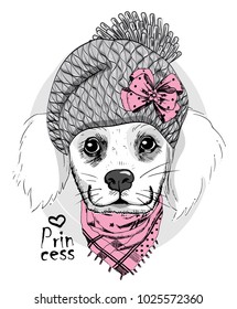 Vector white dog with grey knitted hat and pink scarf. Hand drawn illustration of dressed dog.