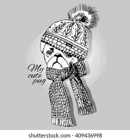 Vector white dog in a hat. Pug in a knitted hat and scarf.