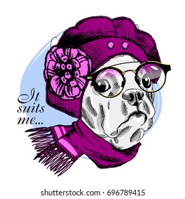 Vector white dog with  hat, scarf and black glasses. Hand drawn illustration of dressed dog