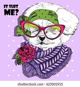 Vector white dog with knitted scarf and glasses. Hand drawn illustration of dressed lap-dog.