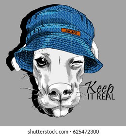 Vector white dog with panama. Hand drawn illustration of dressed dog.