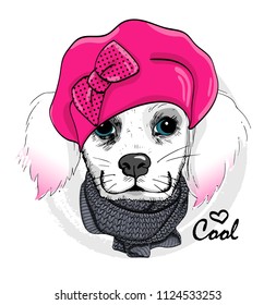 Vector white dog with pink beret and knitted scarf. Hand drawn illustration of dressed dog.