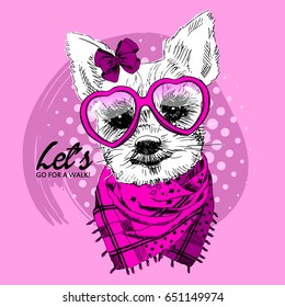 Vector white dog with pink glasses. Hand drawn illustration of dressed dog